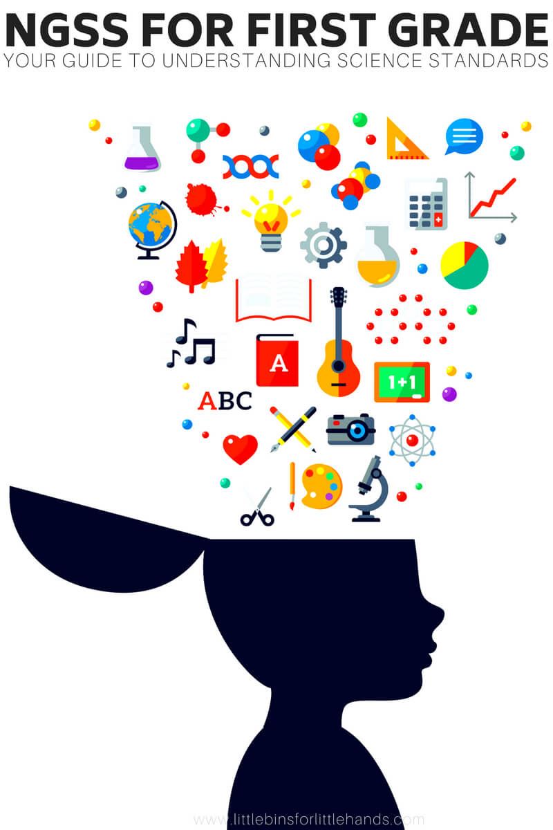 Explore the Mind