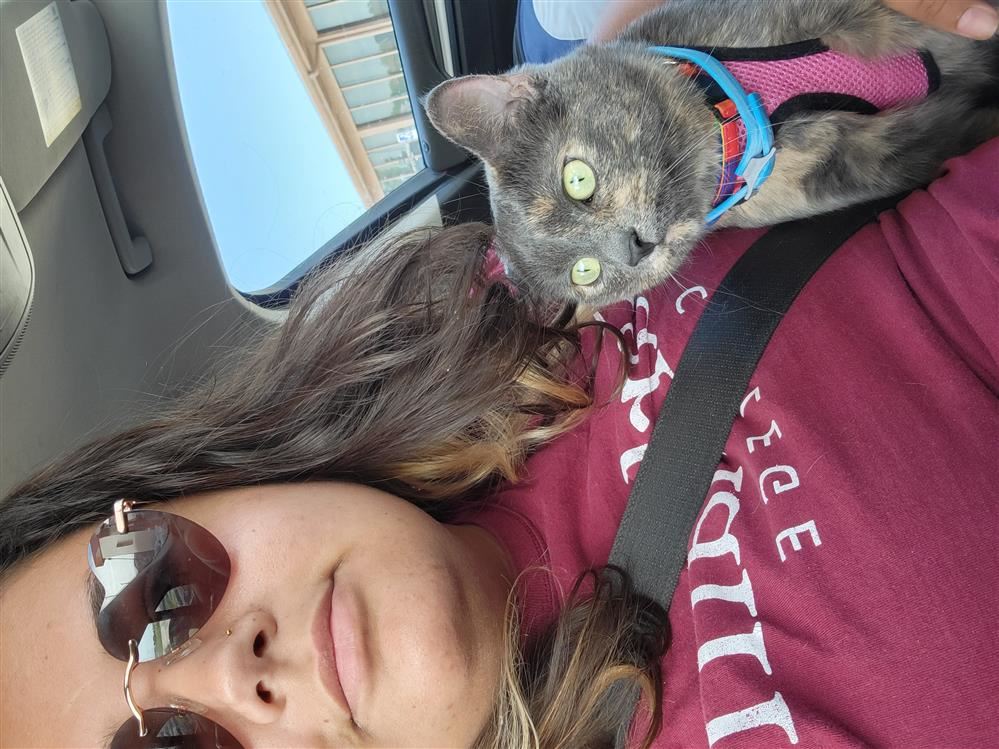 Me with my cat, Maize, on our journey to St Louis for the first time.