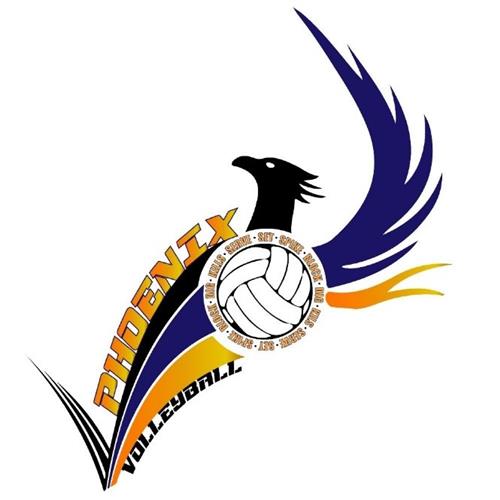 Volleyball / Your 202021 Phoenix Volleyball Team!