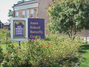 Ames