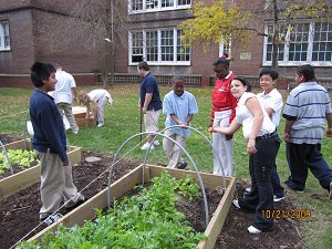 Lyon@Blow School Garden