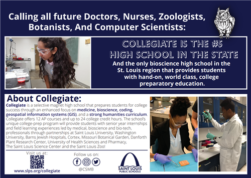 Apply to Become a Collegiate Owl