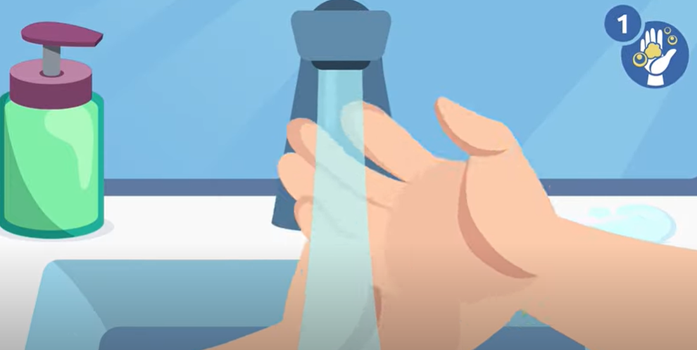 Handwashing - 10 steps