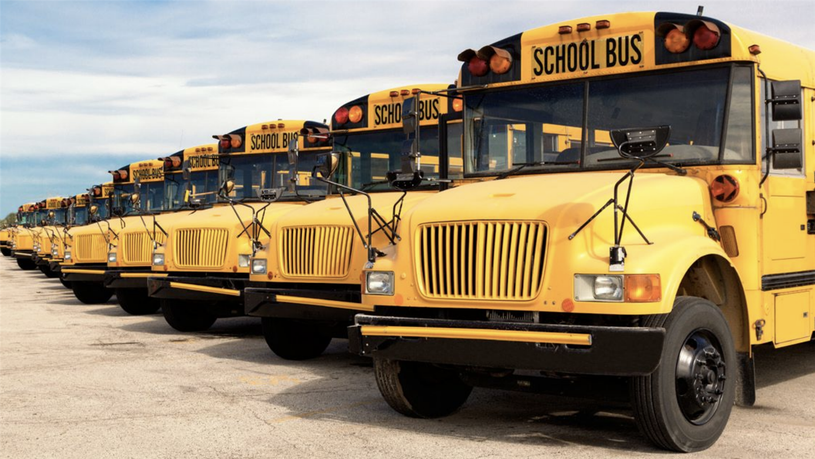 Buses