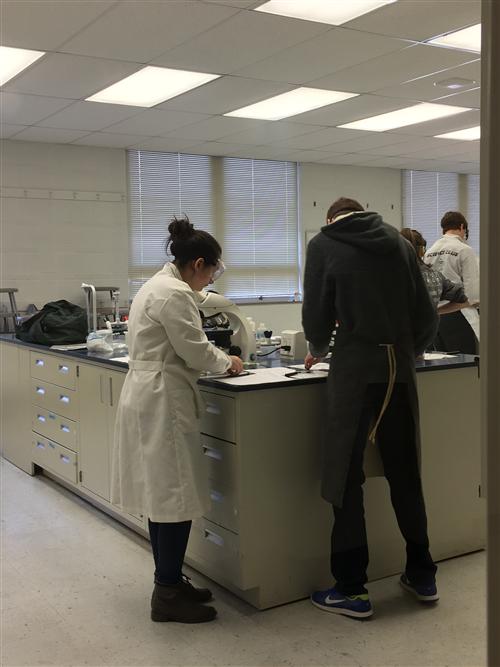 Forensics 