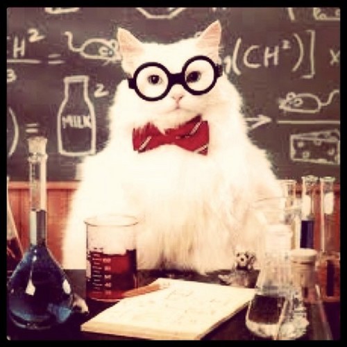 Chemistry Cat Chemistry Cat