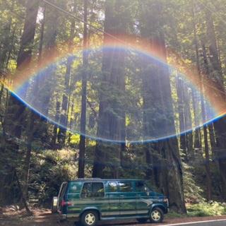 Redwood National Park