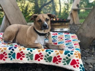 Huxley