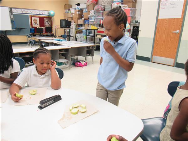 First Grade / Grade 1 Photos